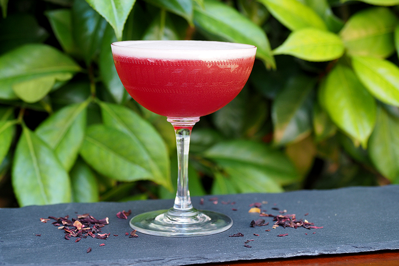 Hibiscus Gin Sour Recipe - Gin Cocktails - Cocktails &amp; Bars